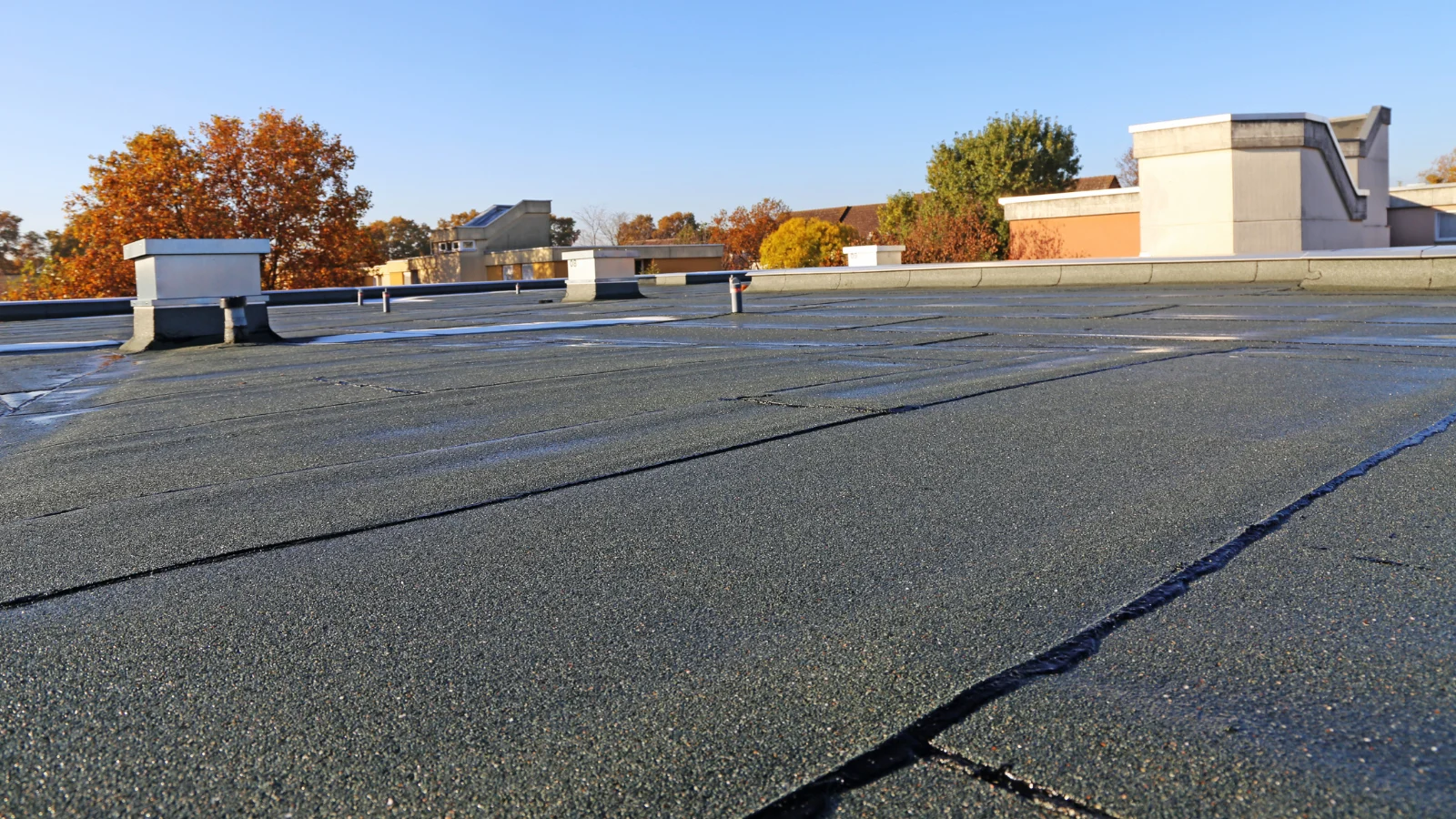 Roof Membrane Tear Repair commercial roofing in Lexington