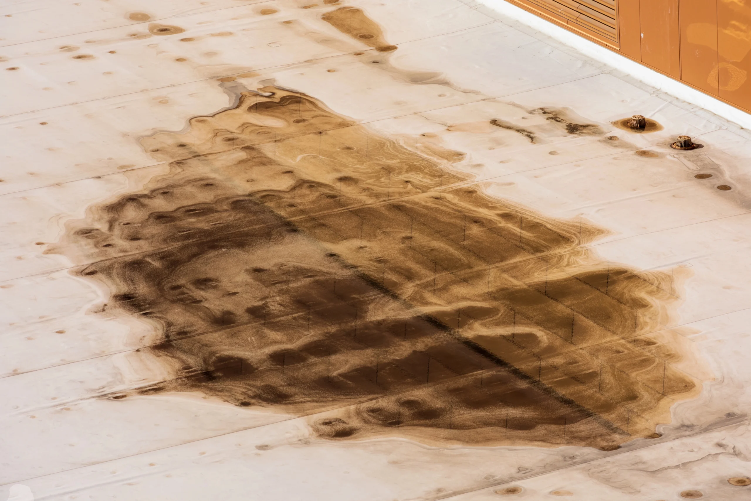 Wind Driven Rain Intrusion commercial roofing in Lexington