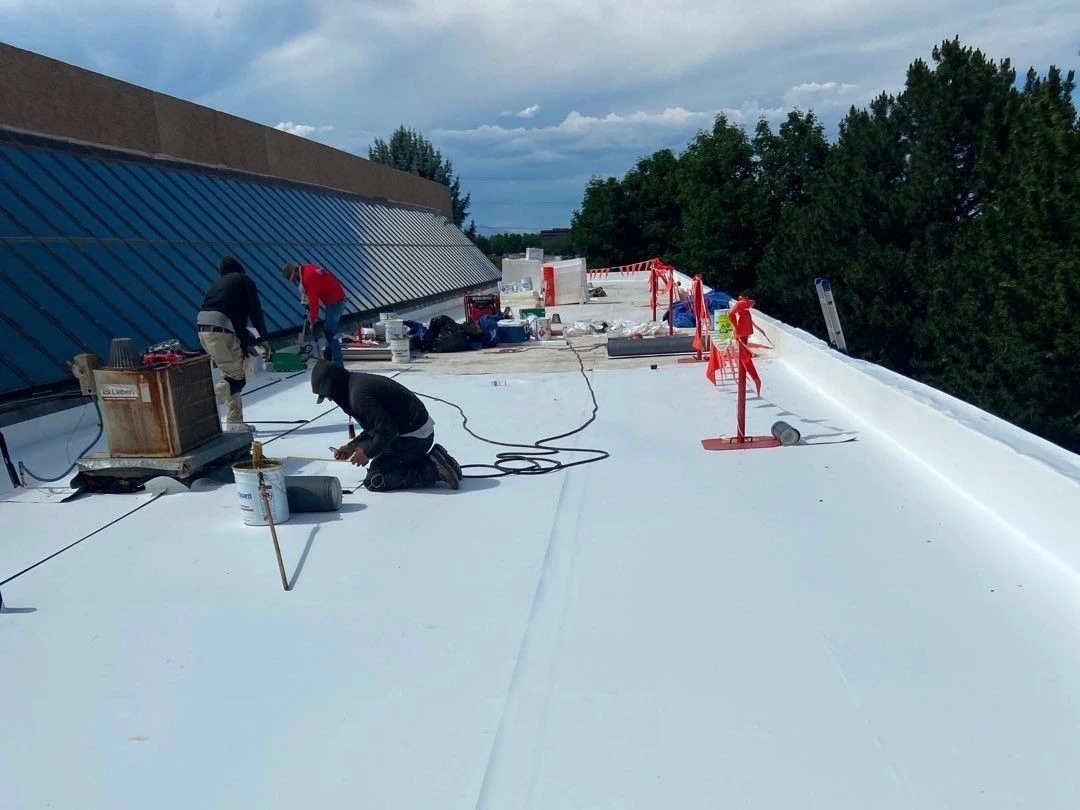 Roof Systems in Lexington